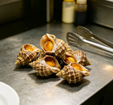 Sea Snails
