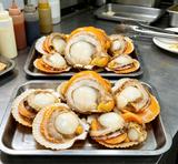 Sea Scallops